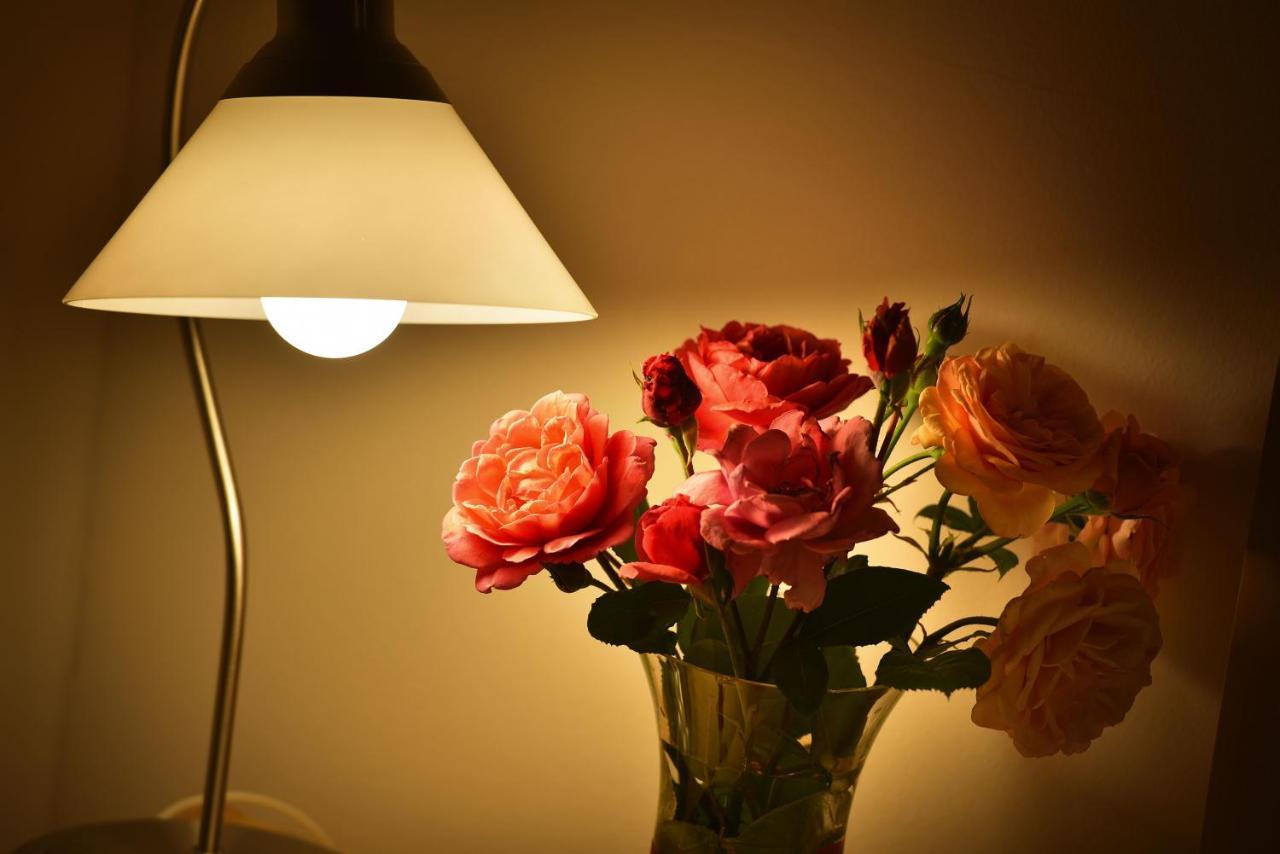 Old Town Apartments Tyn براغ المظهر الخارجي الصورة